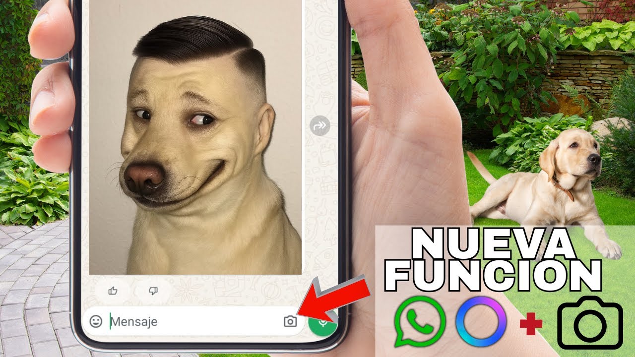 Miniatura del video sobre la nueva función de cámara con IA de Meta en WhatsApp.